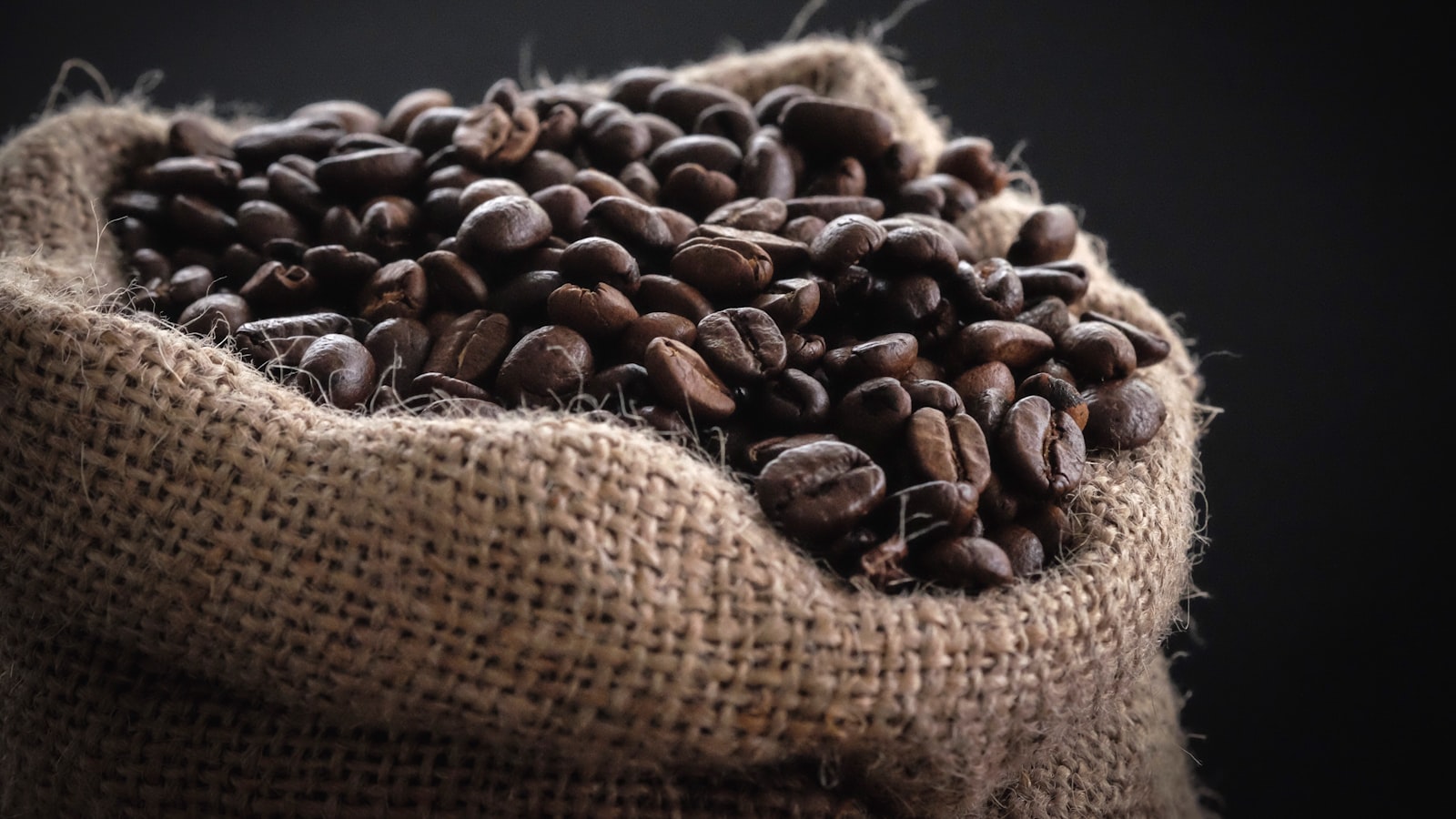 A hand holding a scoop of whole roasted coffee beans.